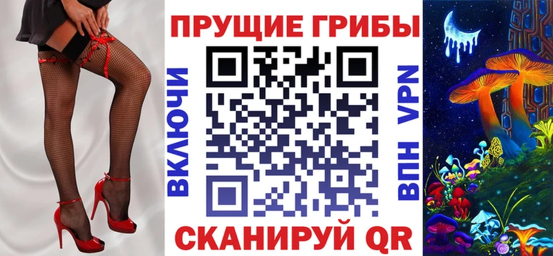 Псилоцибиновые грибы Cubensis  Купить где  Нижний Ломов 